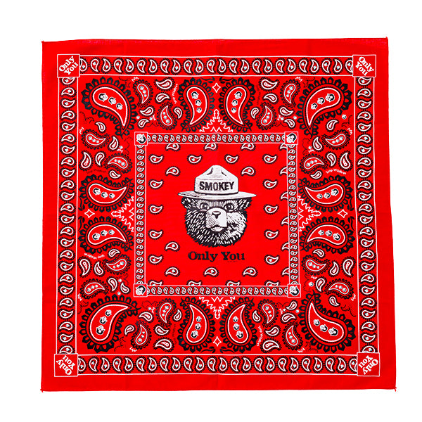 SMOKEY PAISLEY RED