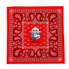 SMOKEY PAISLEY RED