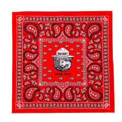 SMOKEY PAISLEY RED
