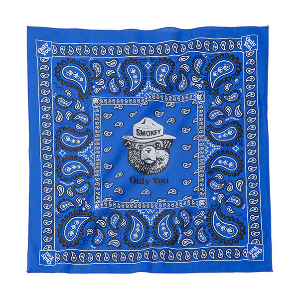 SMOKEY PAISLEY ROYAL