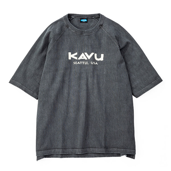 カブー メンズ ヘビーウェイト Tシャツの画像