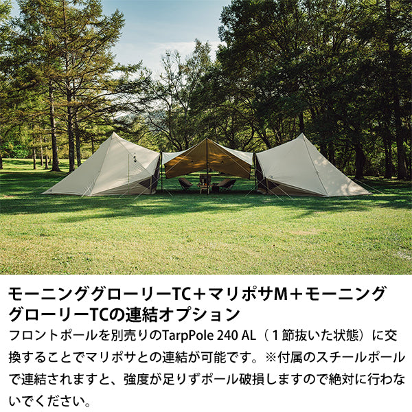 サバティカル モーニンググローリー TC スペシャルフルセット